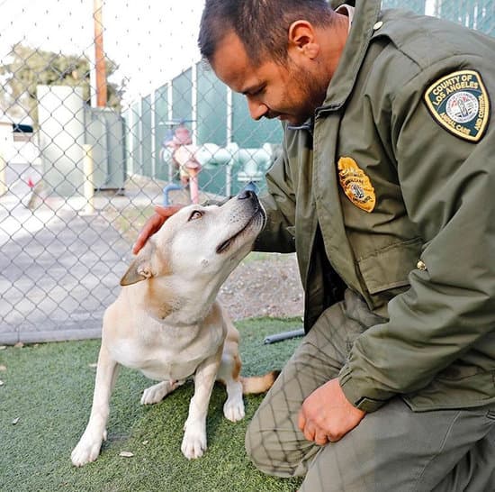 Wildlife  LA Animal Services