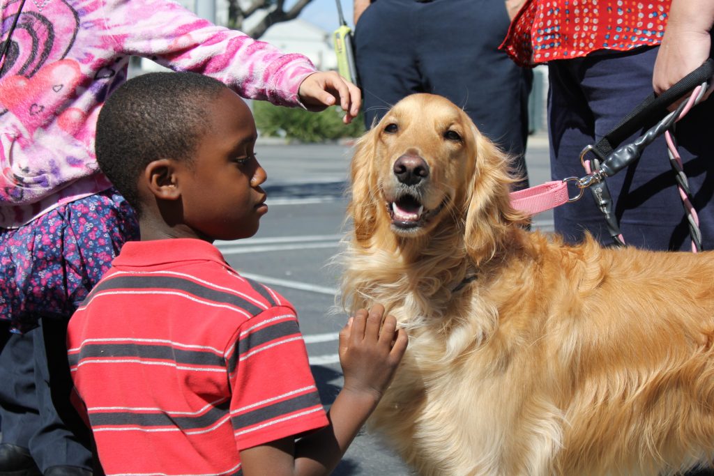 are adult dogs like children