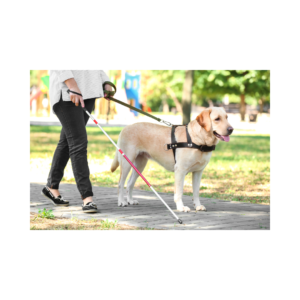 Protecting Service Animals - Animal Care and Control