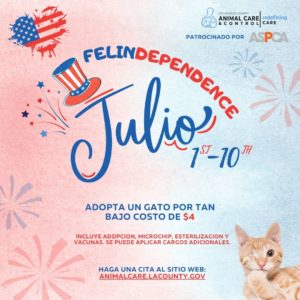 Felin-dependence – Cat Promotion (July 1-10, 2022) - Animal Care and Control