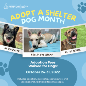 Promotion: National Adopt a Shelter Dog Month 2022 - Animal Care and Control