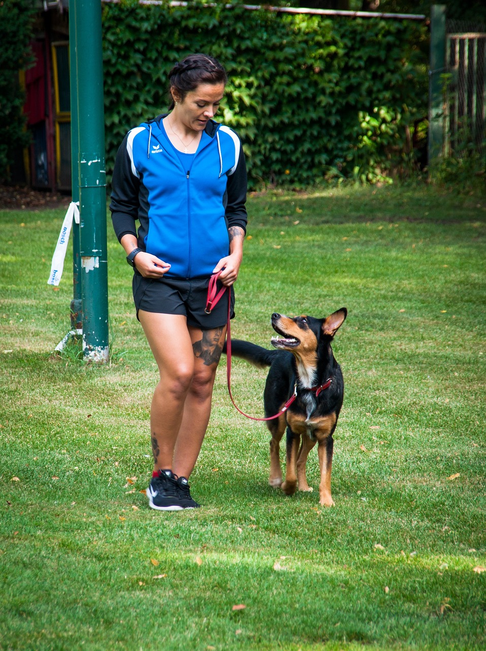 A Guide to Safely Walking Your Four-Legged Friend - Animal Care