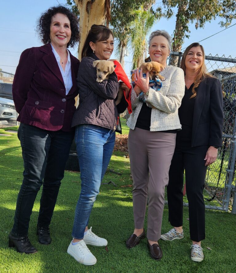 spcaLA President Madeline Bernstein and Inland Valley Humane Society & SPCA President Nikole Bresciani, with NBC 4 reporter Kathy Vara & Animal Care & Control Director Marcia Mayeda