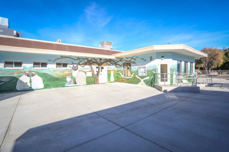 Animal Care Facility at Agoura Entrance. A single-story building with colorful murals of cats, trees, and landscapes painted on its walls. The outdoor area has a spacious concrete courtyard under a bright blue sky.