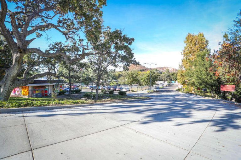 Animal Care Facility at Agoura - Outdoor Area A peaceful outdoor scene with a large tree casting shadows on a wide paved walkway. In the background, colorful murals are visible on a small building surrounded by trees, parked cars, and a clear blue sky