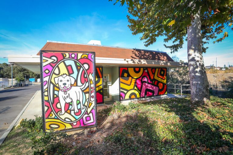 Animal Care Facility at Agoura - Pet Play Area. A small building with vibrant, colorful murals featuring abstract patterns in red, pink, yellow, and orange. In front, a large panel displays a playful cartoon-style white dog on a bright background. A large tree provides shade nearby.