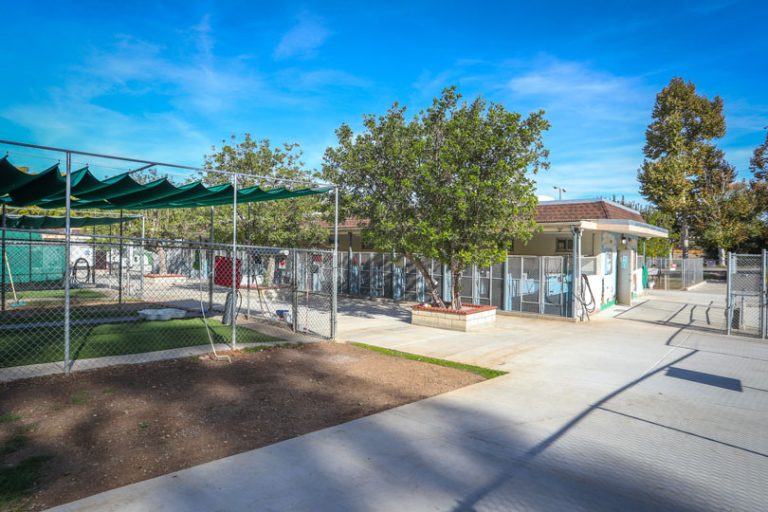 Animal Care Facility at Agoura - Kennels Exterior. An outdoor facility with fenced enclosures, shaded areas with green canopies, and a small building in the background. Trees and plants add greenery to the scene, with clear blue skies above.