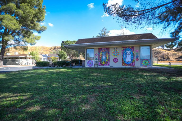 Animal Care Facility at Castaic - Indoor Kennels