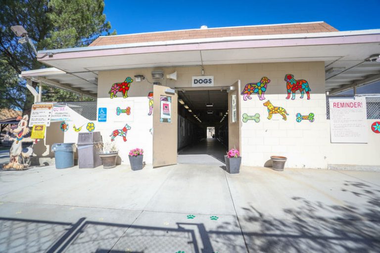 Animal Care Facility at Castaic - Staff Area View