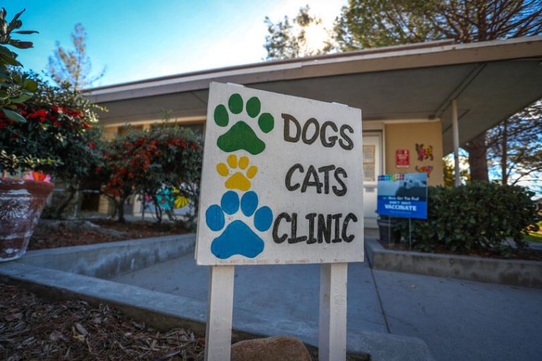 Animal Care Facility at Castaic - Play Area for Pets