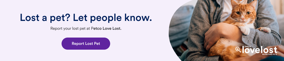 Lost Pet Banner