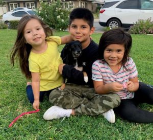 Three children sitting on a lawn with a small black dog, smiling and enjoying an outdoor moment.