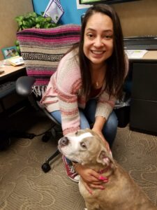 Woman at her desk with a gray dog sitting on her lap