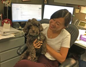 A woman sitting at her desk, holding a small curly-haired dog.