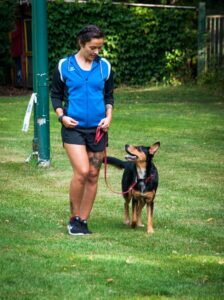 A woman walking a dog on a leash in a grassy park.