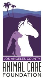animal care foundation logo - animated white horse, purple dog, violet cat