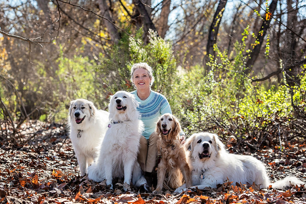 Director of DACC Marcia Mayeda kneeling outdoors in a wooded area, surrounded by four large dogs, including three white fluffy dogs and one golden retriever