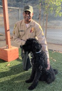 Animal Control Officer kneeling down with black furry poodle mixed dog