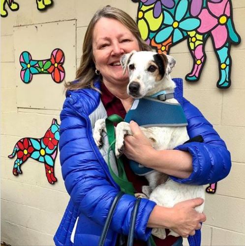 Woman in a blue jacket smiling and holding a small white dog with black and brown patches. They are standing in front of a wall decorated with colorful, patterned dog art.