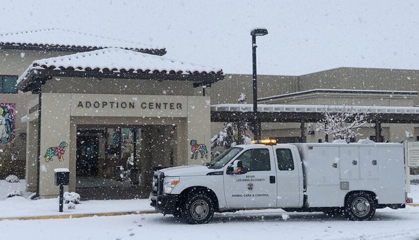 Our vehicle parked in front of the office during the Thanksgiving snowfall of 2019