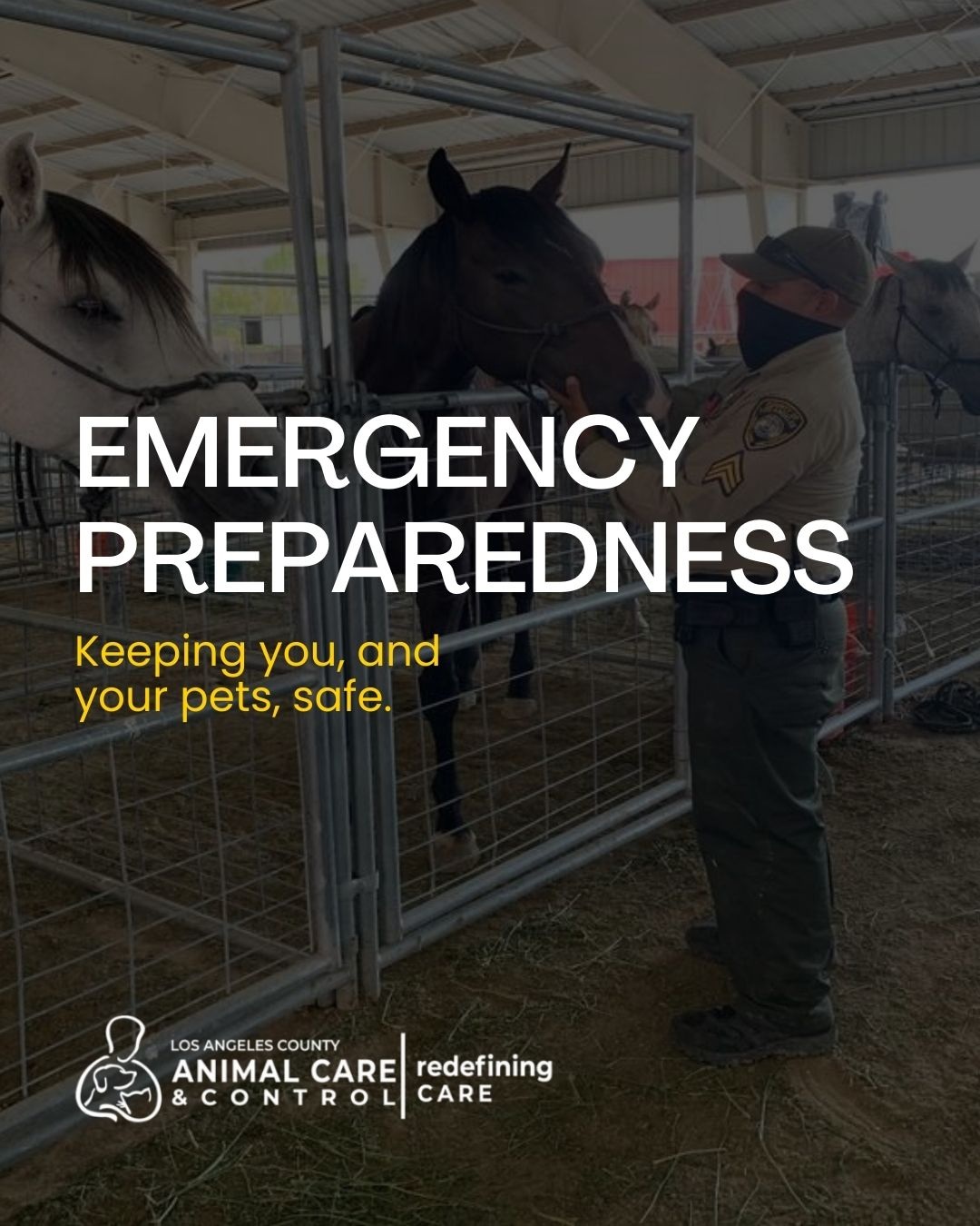 National Disaster Preparedness Month: Ensure our Pets Stay Safe and Secure