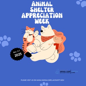 Celebrate Animal Shelter Appreciation Week Honoring Our Dedicated Teams and Furry Friends