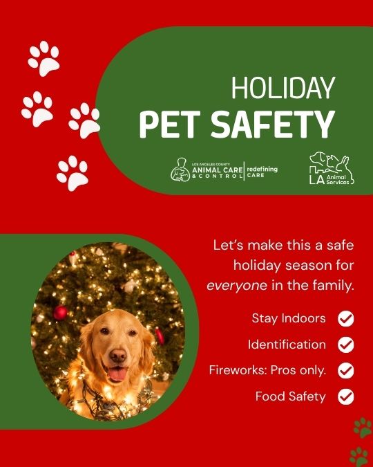 DACC Urges Pet Owners to Keep Pets Safe This New Year’s Eve