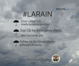 DACC Urges Pet Owners to Prioritize Safety Ahead of Upcoming Storm