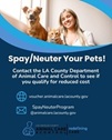 February is National Spay/Neuter Awareness Month