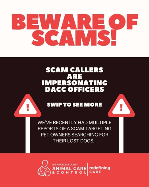 DACC  Warning About Impersonation Scam Targeting Pet Owners