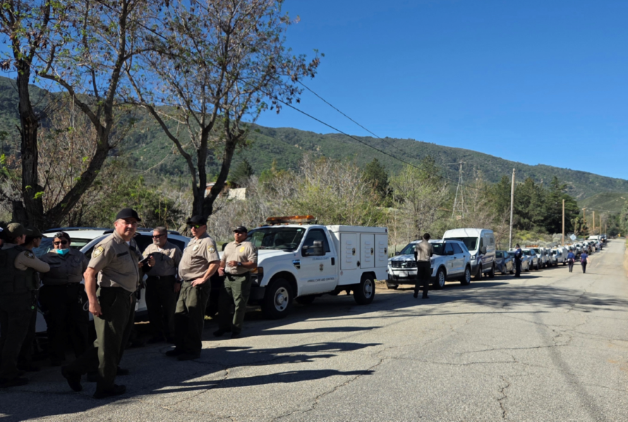 A line of county animal control and sheriff vehicles is parked along a rural mountain road while uniformed officers stand and talk beside the trucks under a clear blue sky.