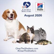 DACC Partners with NBCUniversal for Clear the Shelters 2026